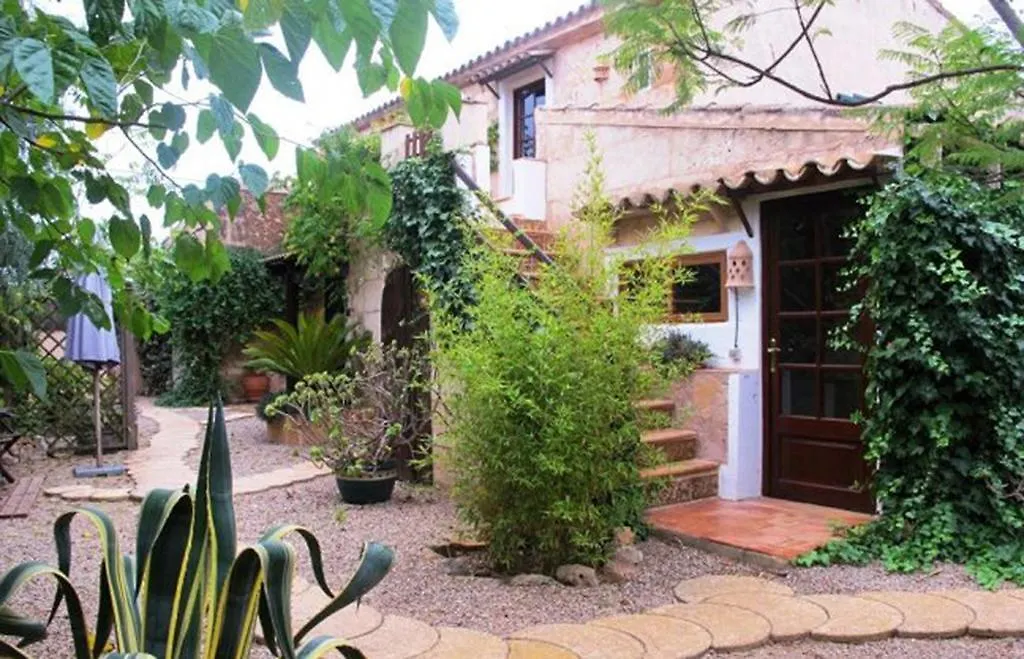 Appartement Finca Libertad Mallorca Campos  Spanje