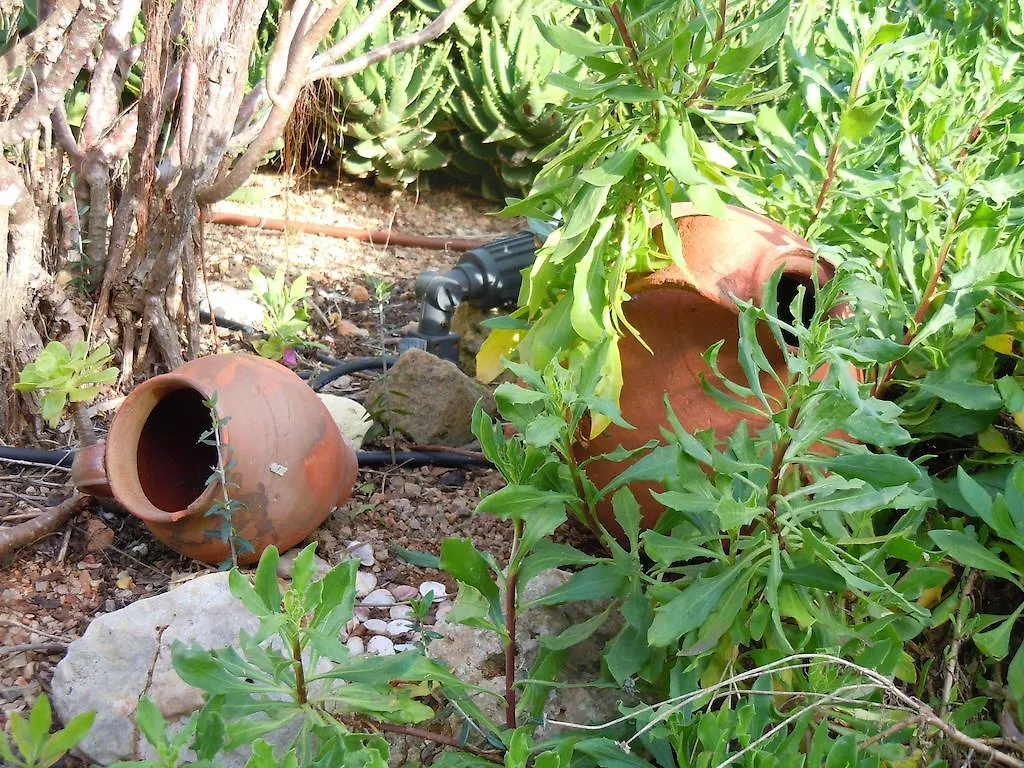 Finca Libertad Mallorca Campos  Spain