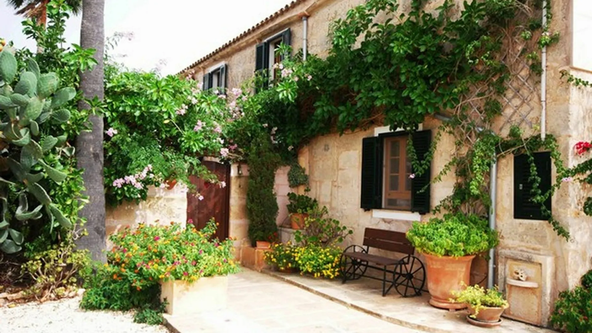 Finca Libertad Mallorca Campos