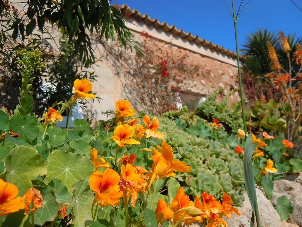 Finca Libertad Mallorca Campos  Campos (Mallorca)