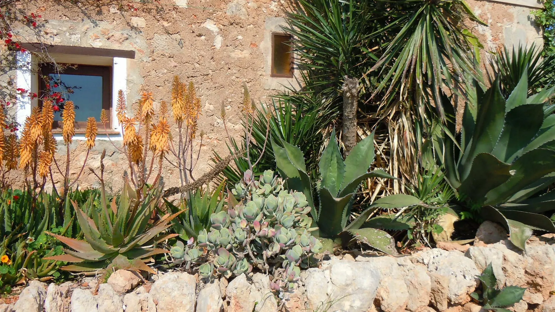 Finca Libertad Mallorca Campos  Spain