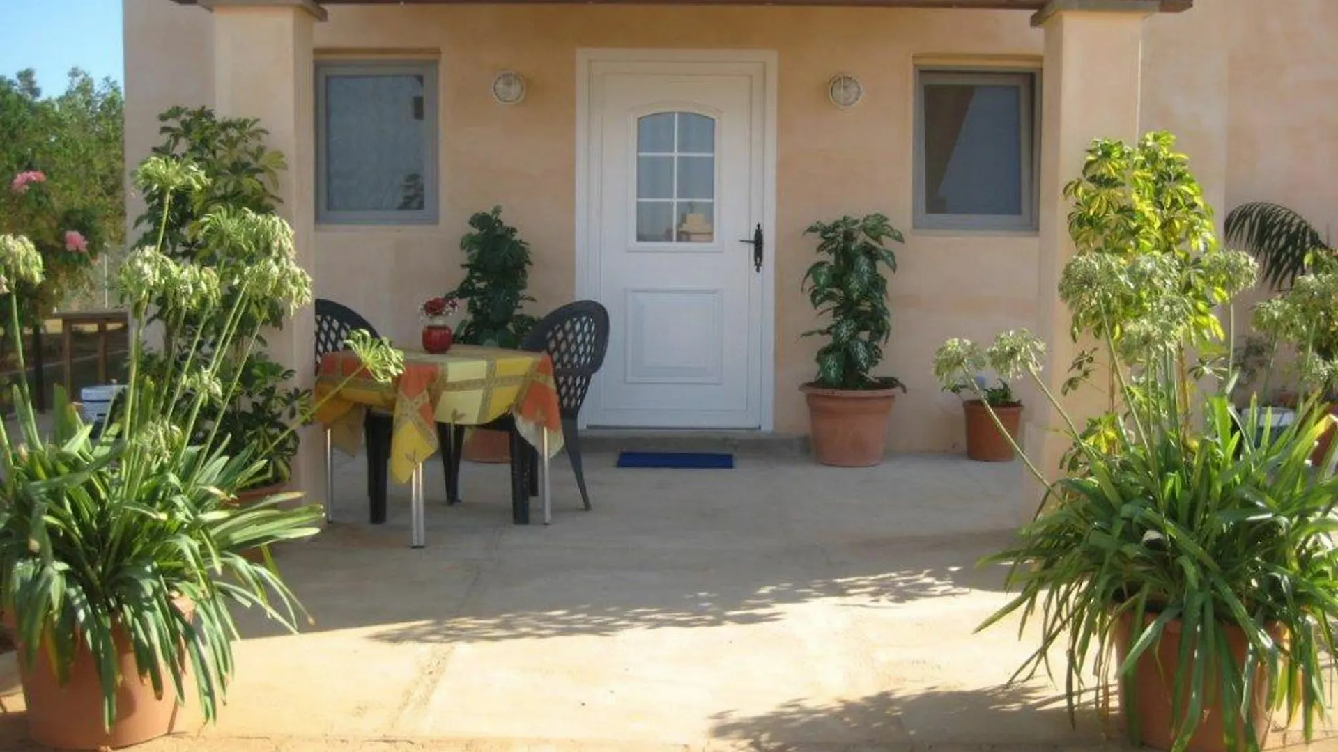 Finca Libertad Mallorca Campos