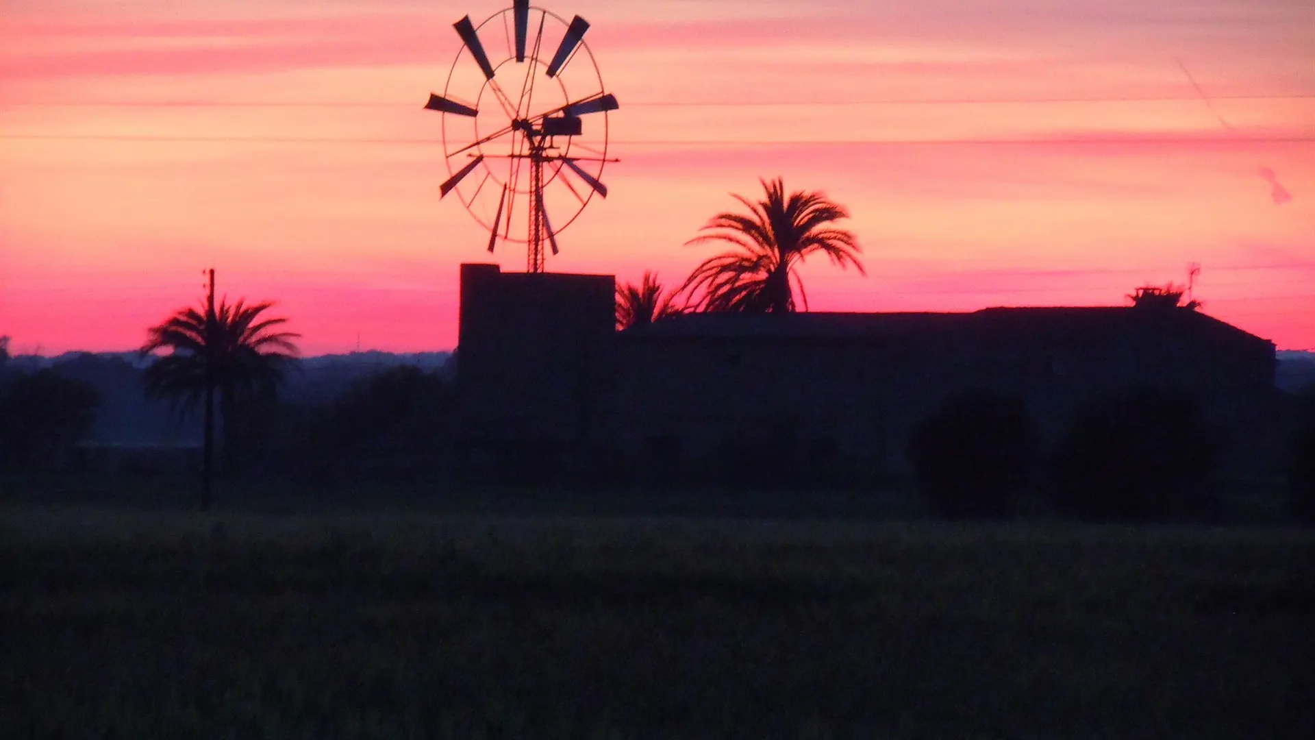 Apartment Finca Libertad Mallorca Campos
