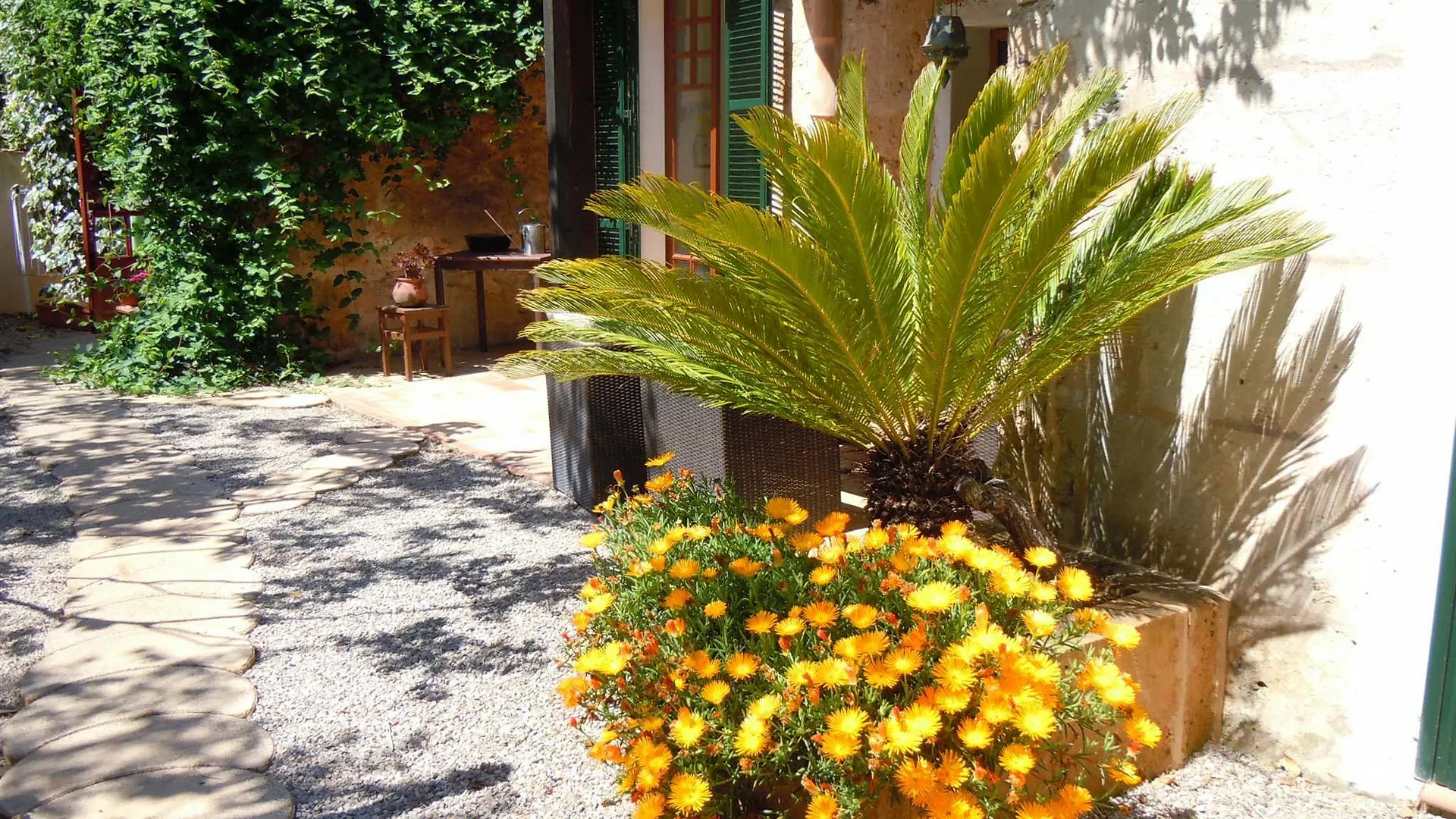 Apartment Finca Libertad Mallorca Campos  Spain