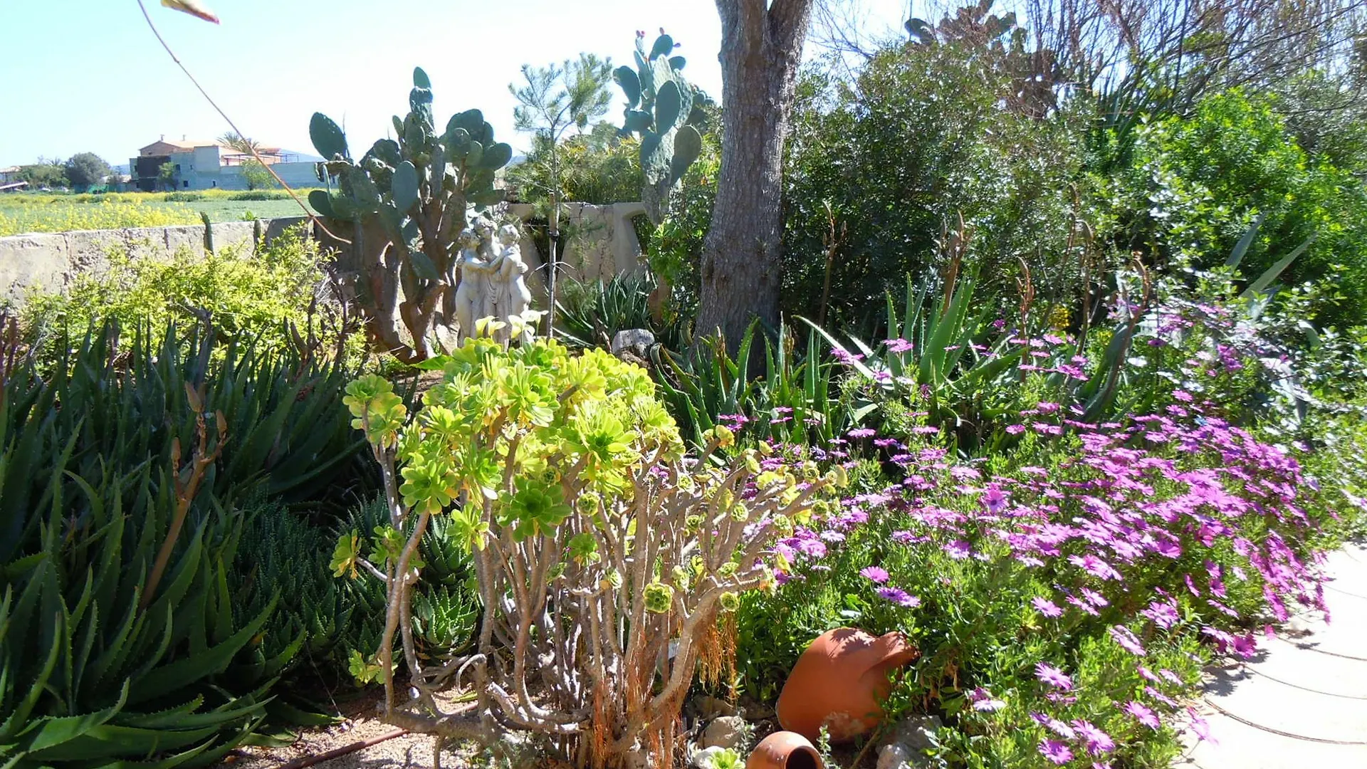 Finca Libertad Mallorca Campos  Campos (Mallorca)